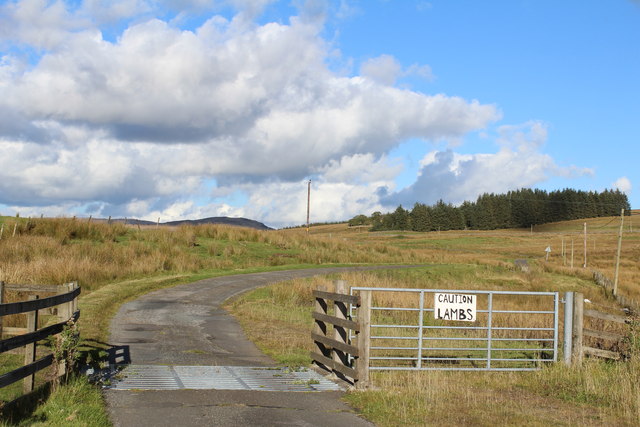Cattle Grid at Glaisters Bridge