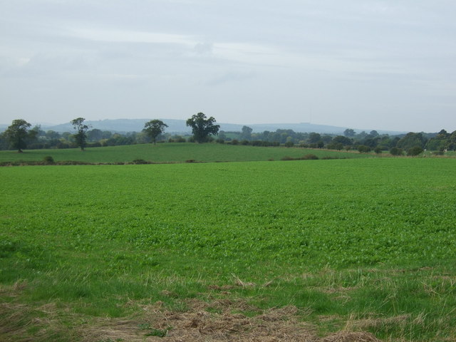 Crop field near Colonsay House