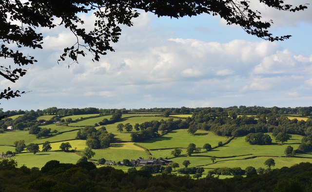 View from Newcott Farm towards Twistgates Farm, Devon