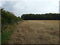 Stubble field and hedgerow near Hillhouse Nook Farm