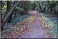 Apples on a rural path through an industrial estate