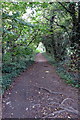 Path through the industrial estate