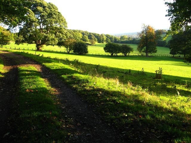 Footpath, field and trees beside Bryn-cae-Tudur Wood
