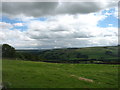 Fields above the River South Tyne