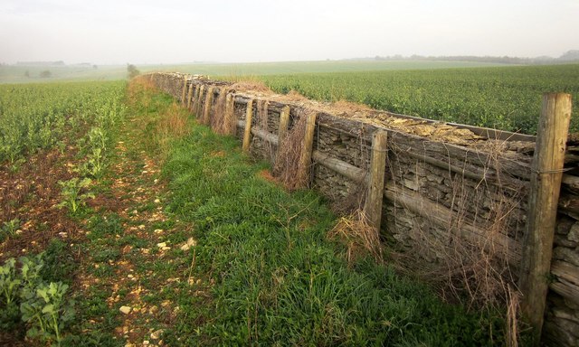 Field boundary north-west of Kilkenny Farm