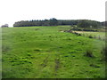 Countryside near Ridley Hall