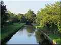 The New River north of Barrowell Green, N21