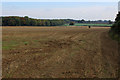 Looking across Countryside towards Spring Wood