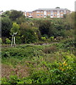 Island Line semaphore signal, Ryde