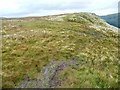 NY4115 : Boggy ground on Beda Fell ridge by Christine Johnstone