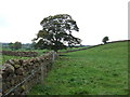 Footpath to Calthwaite Bridge