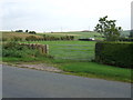 Field entrance off the B6413, Plumpton