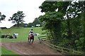 Somerford Park Horse Trials: ascent to the cross-country finish