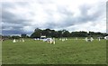 SJ2720 : Llanymynech Horse Trials: showjumping arena by Jonathan Hutchins
