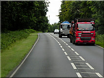 TL8388 : Lorries on the A134 by David Dixon