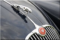 NY1808 : Jaguar XK150 marque and grille by Philip Halling