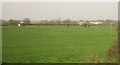 Fields near Cam and Dursley Station