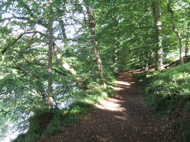 Riverside path, Armathwaite