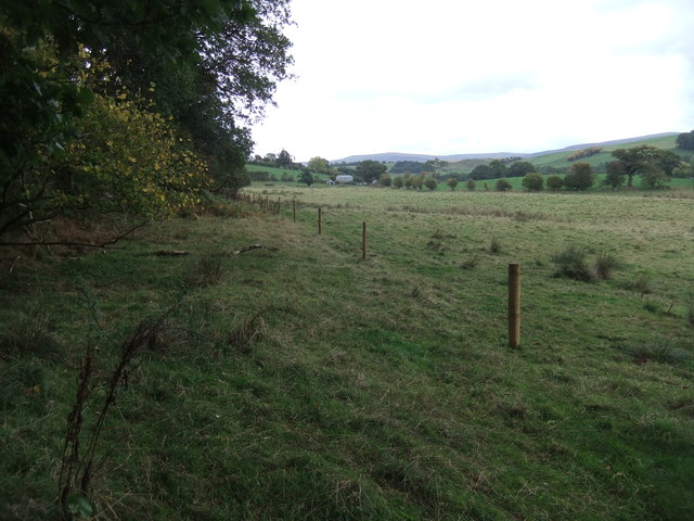Fields near Dale