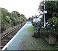 SS7603 : Copplestone railway station flowers by Jaggery