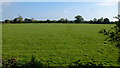 The Lugg flood plain