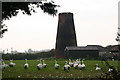 Geese at Goxhill Mill