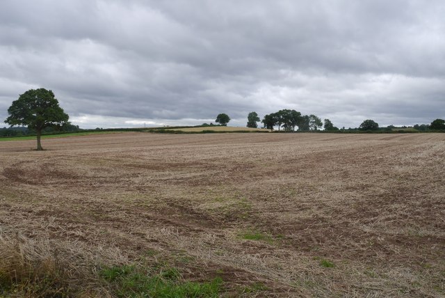 Stubble, Orleton © Richard Webb :: Geograph Britain And Ireland