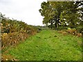 Copythorne, bridleway