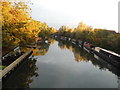 The River Lea at Rye House