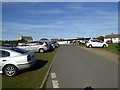 The Square, Lizard, with parked cars