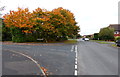 Darnford Lane in Lichfield