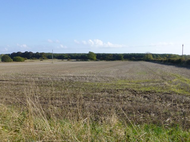 Arable field with stubble