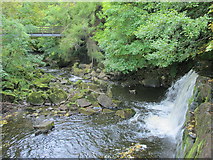 NY8452 : Holms Linn and footbridge over the River East Allen by Mike Quinn