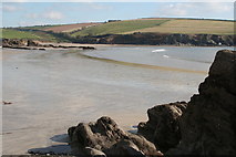 SX6147 : Mothecombe: towards Erme Mouth by Martin Bodman