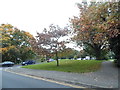 Cock Lane looking towards Park View