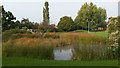 Pond in park at Totton