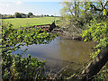 Muddy pond adjacent to Green Lane