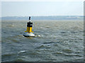 TQ9377 : Buoy 10, Medway Approach Channel by Robin Webster