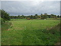 Grazing, Cavenham