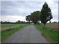 Road to Colford Lodge Farm