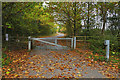 Access road, Hawley Common