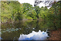 Small Pond, Yateley Country Park