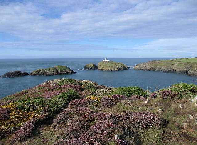 Ynys Onnen and Ynys Meicel, Strumble Head