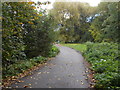 Footpath - Burnholme Drive