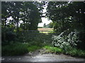 Field entrance off Thurston Road