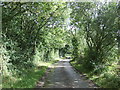 A bend in National Cycle Route 51 