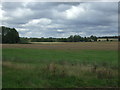 Farmland near Woolpit