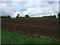 Farmland near Reed Farm