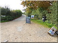 The lane to Bembridge Windmill