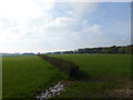 Bridleway east of Rowlands Wood seen from train